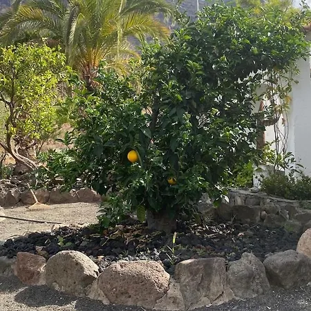 Casa Colonia Апартаменты Моган
